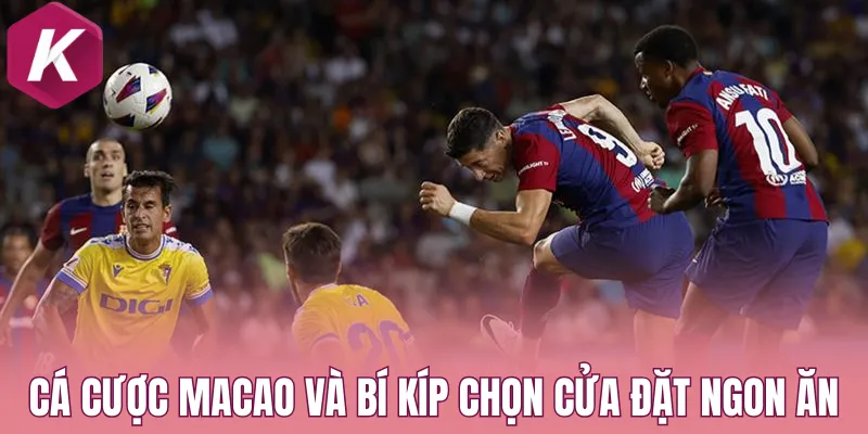 Cá cược Macao và bí kíp chọn cửa đặt ngon ăn