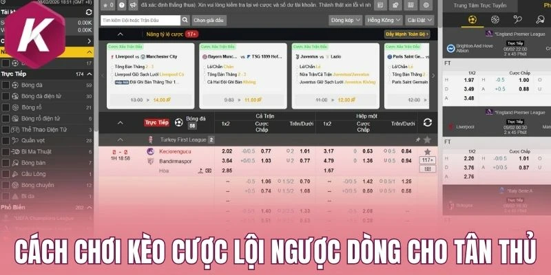 Cách chơi kèo cược lội ngược dòng cho tân thủ